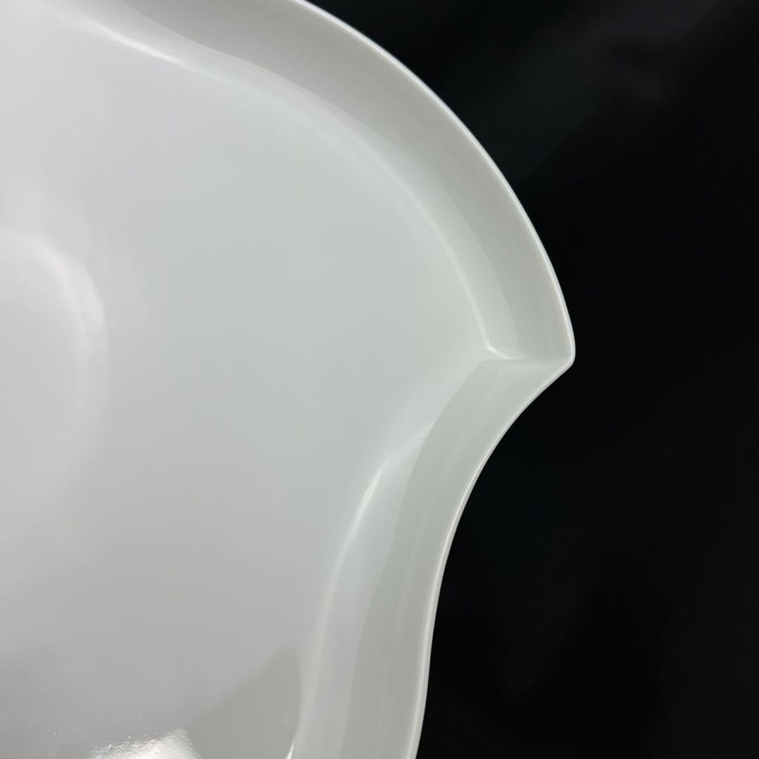 Amazon.co.jp: リチャードジノリ デダロホワイト マルチプレート 24cm